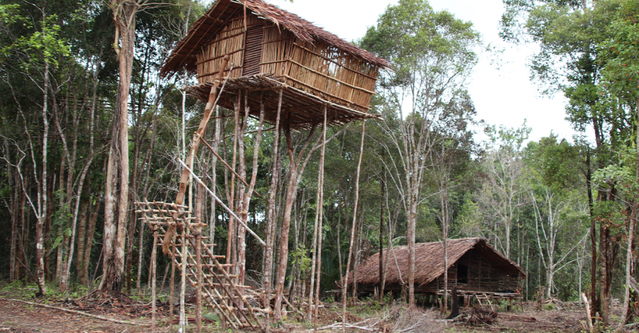 Rumah tinggi, rumah adat Suku Korowai Papua. Dokumentasi oleh EcoNusa